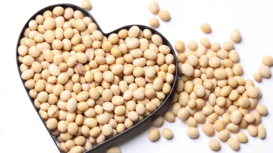 10 тона ГМО соя откриха в Бургас