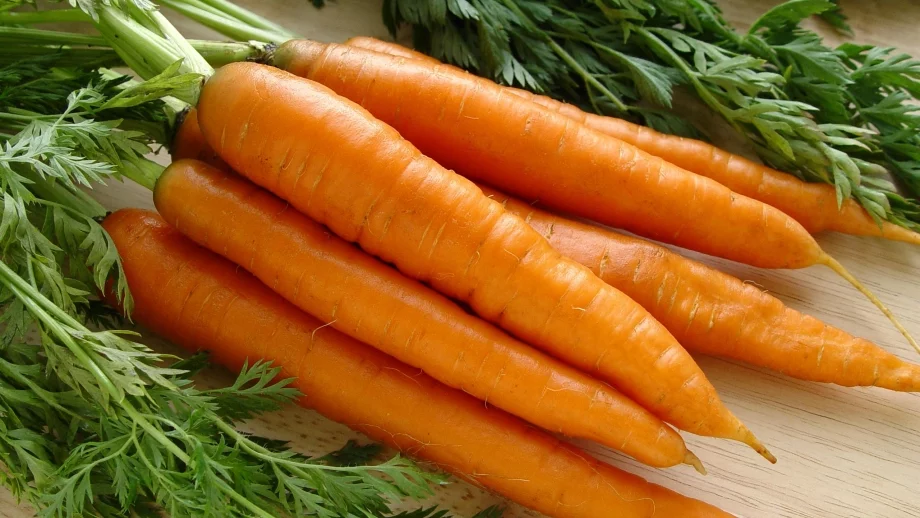 Американец отгледа най-големия морков в света (Снимки, видео)