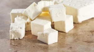 Полезните свойства на сиренето от Каракачанска овца
