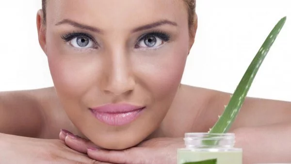 За какво е полезно алое верата