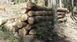 2013/10/01/0684149001380634627