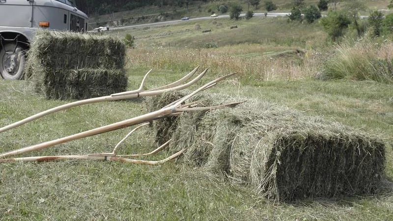 Експерт: Малките стопанства трябва да получават допълнително подпомагане