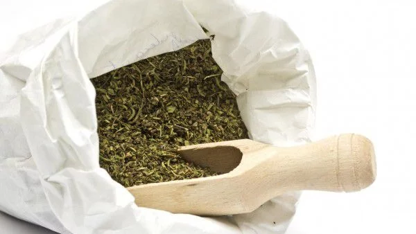 Чубрицата лекува главоболие