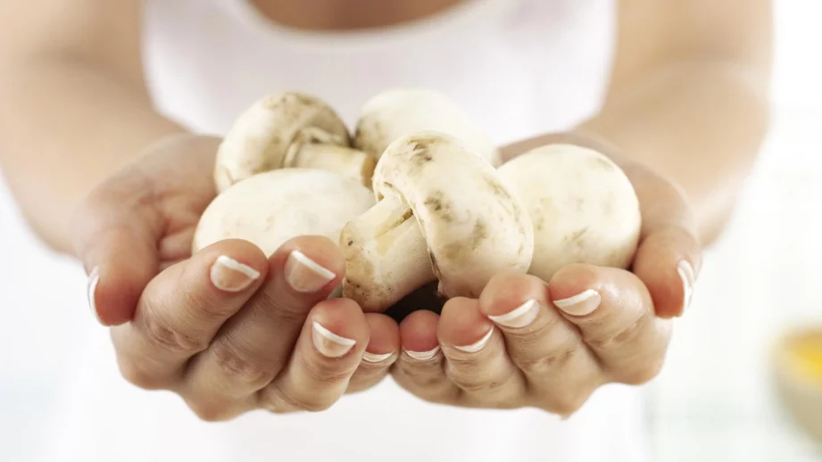 Гъбите поевтиняха заради голямото предлагане 