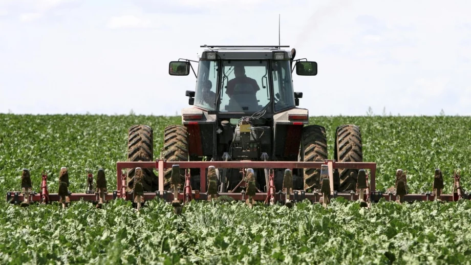 Започва приема по Схемата за застраховане на земеделската продукция