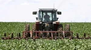 4000 земеделци могат да останат без директни субсидии