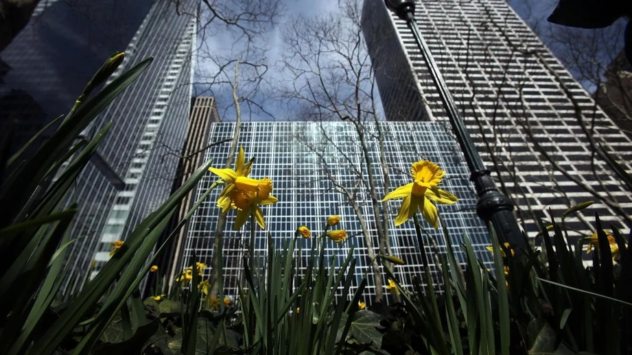 Строят голям туристически и развлекателен комплекс в столичния "Младост"