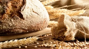 Проф. Байкова: Данък "вредни храни" няма да засегне хляба