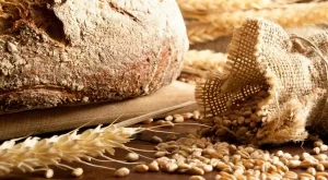 Защо пшеницата причинява подуване
