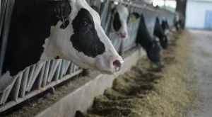 2013/10/01/0995198001380631752