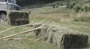 Над 79 млн. лева са разплатени през март по ПРСР 2014-2020 