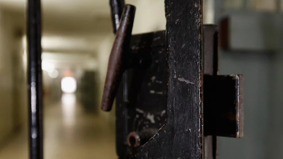 Предложение: До 10 години затвор за кражба на фирма