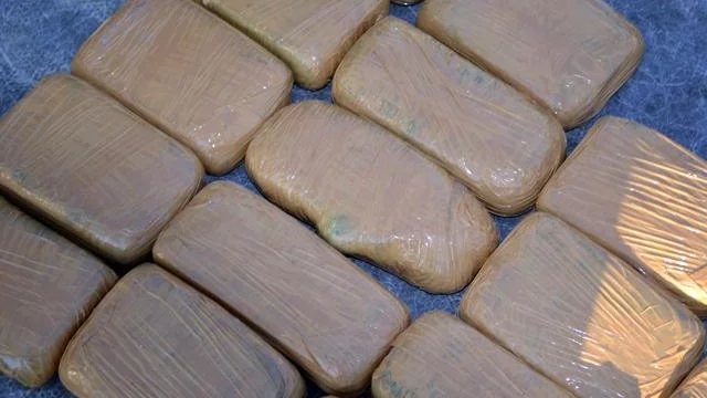 Синът на Пабло Ескобар призова за държавна регулация на наркопазара