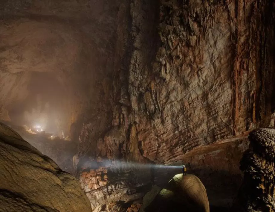 Първите бозайници на Земята са били дълголетни мързеливци