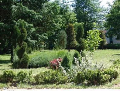 Екзотични растения ще има в новия парк в Благоевград