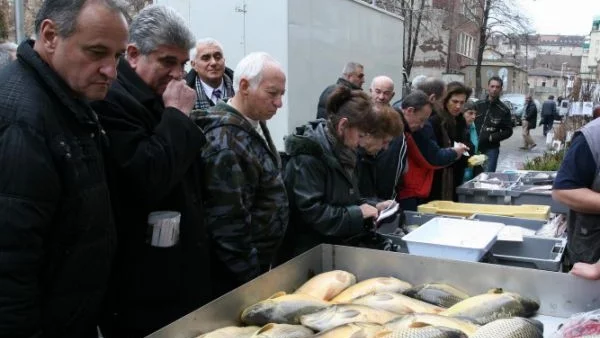 В Стара Загора затвориха рибен магазин заради небивала мръсотия