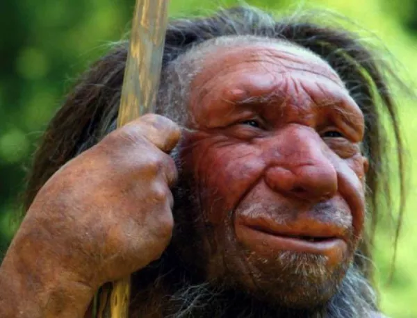 Откриха нова причина за измирането на неандерталците