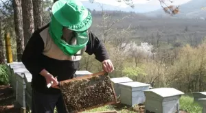 Пчелари оспорват доклад на бившия земеделски министър