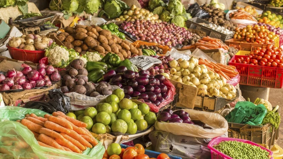 Реколтата от плодове и зеленчуци в Европа най-слаба от 40 г. насам 