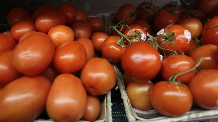 Цената на оранжерийните домати с ръст от 7,5%