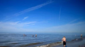 Експерт: Няма да има провал на летния сезон