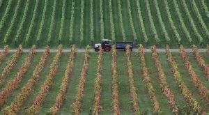 2013/10/10/0473282001381405952