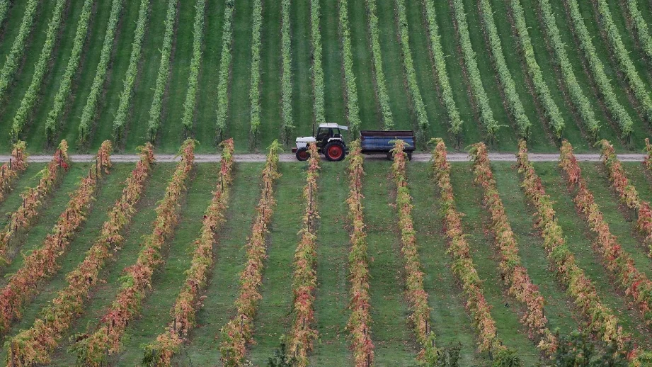 Предлага се глобите за чужденци, притежаващи земя у нас, да се отложат за 1 октомври
