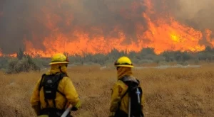 24 млн.лв. отиват за превенция на горски пожари 