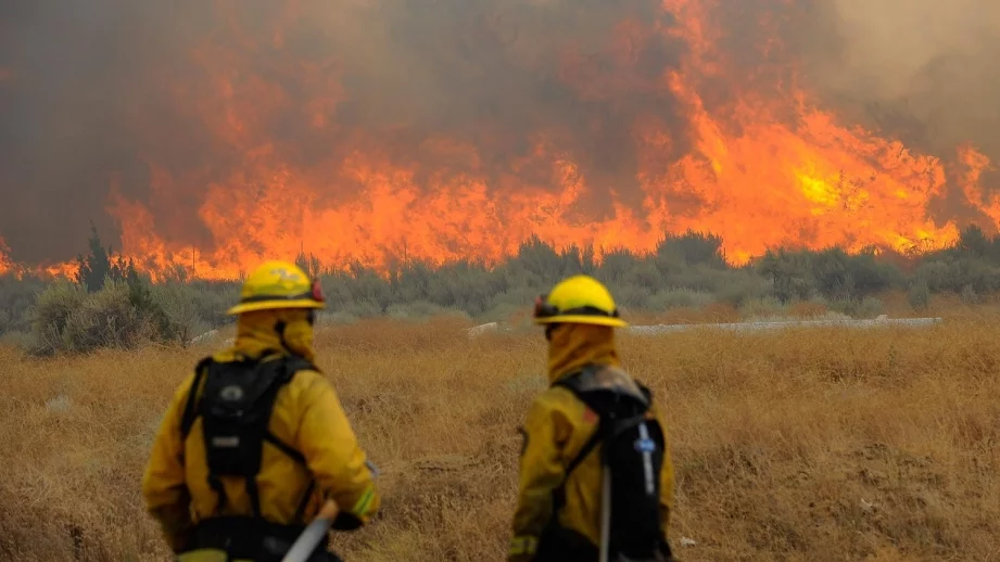 24 млн.лв. отиват за превенция на горски пожари 