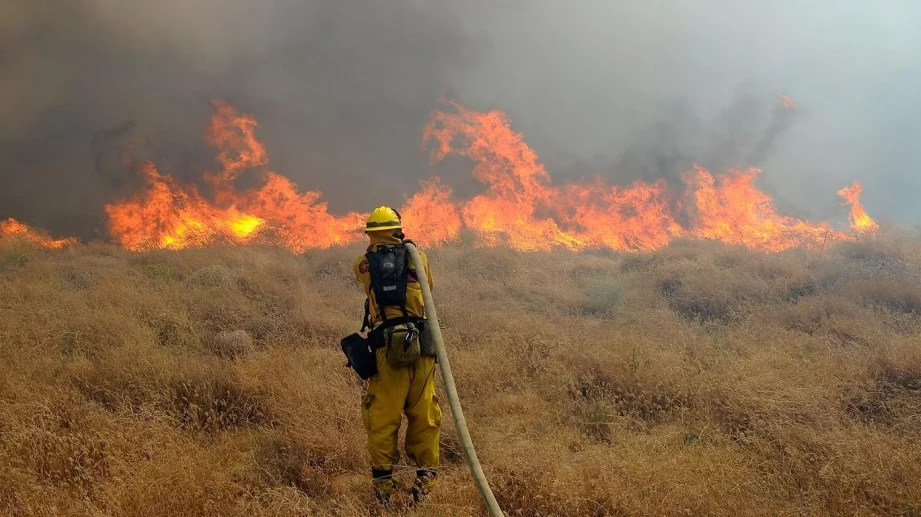 Палиш огън в гората - 1000 лв. глоба 