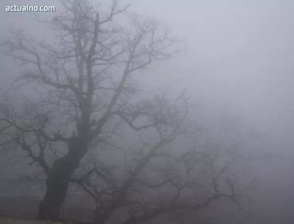 Западна България посреща мъгла, Източна - слънце