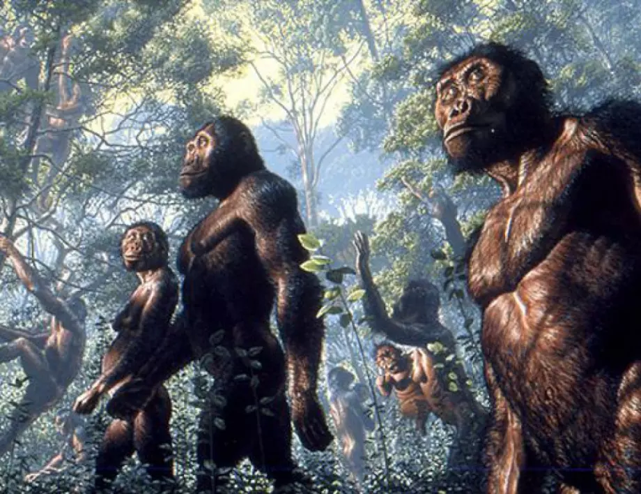 В Израел открили „нов тип праисторически човек“ 