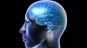 Снемане на отпечатъци от мозъка? Вече технологията е налице