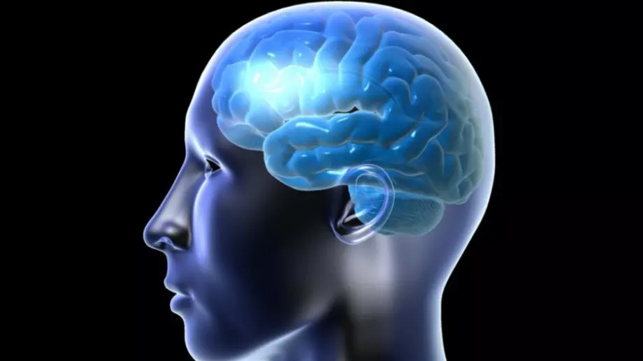 Снемане на отпечатъци от мозъка? Вече технологията е налице