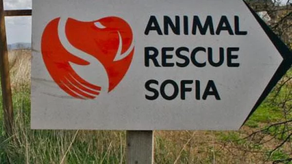 Благотворителен базар на Animal Rescue Sofia 