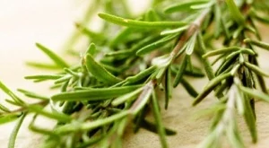 Розмарин за по-добра памет