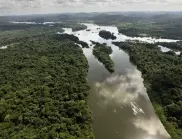 218,4 квадратни километра гора е унищожена в Амазония само за миналия месец