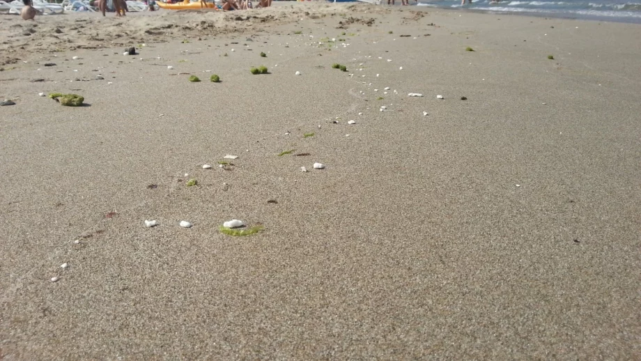 В Приморско и Китен отчитат силен сезон, но туристите са бедни 