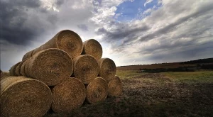 Нивите са поскъпнали със 162% за пет години 