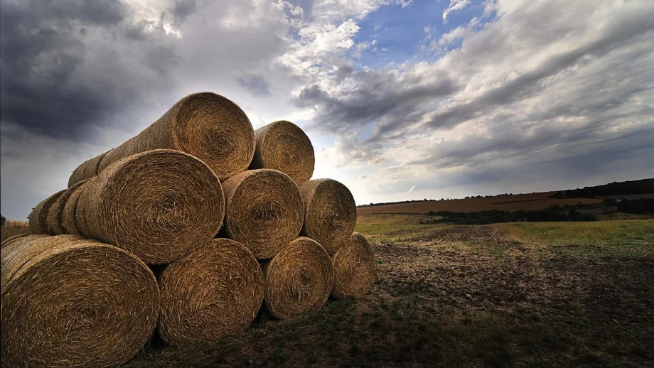 Нивите са поскъпнали със 162% за пет години 
