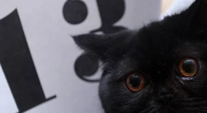 Последен петък 13-ти за годината