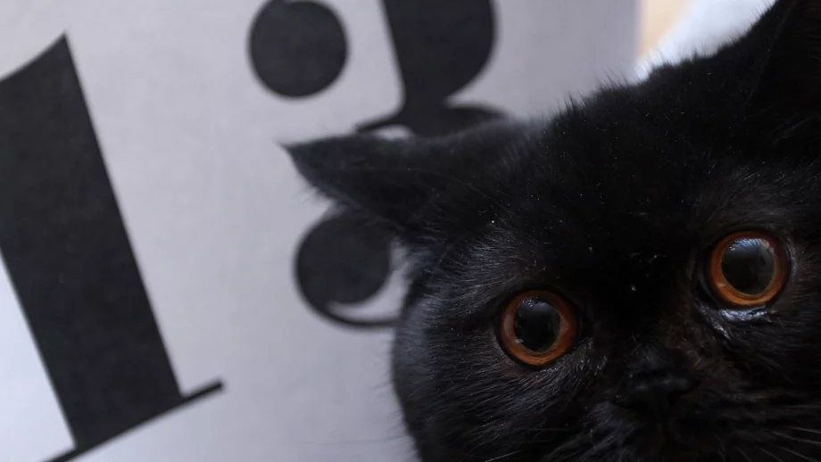 Последен петък 13-ти за годината