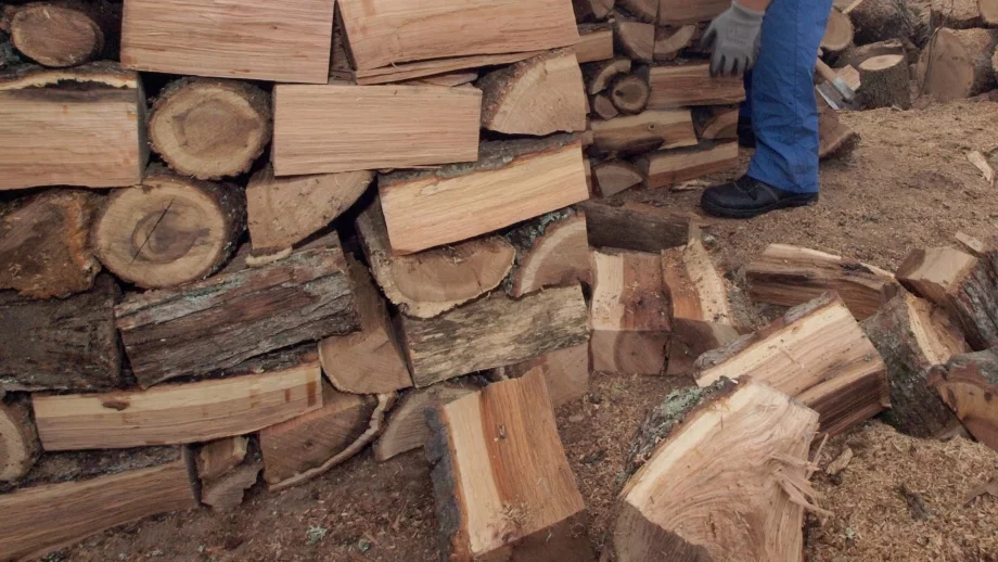 Дървата за огрев са поскъпнали с 10 лева 