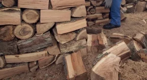 Намаляват одобрените молби за енергийна помощ в Пловдив