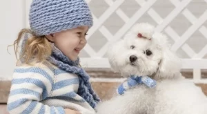 Безплатни консултации за децата и домашните любимци