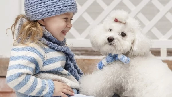 Безплатни консултации за децата и домашните любимци