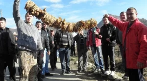 Цената на тютюна се срина 