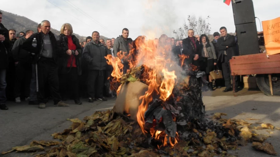 Заподозряха картелно споразумение между изкупвачите на тютюн