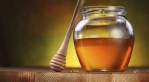 Странджанският манов мед е одобрен за защитено наименование