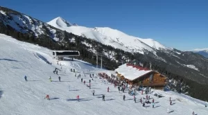 2014/01/31/0525785001391180268